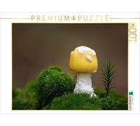 Puzzle CALVENDO Lysier jaune narcisse | 1000 pièces, format assemblé 64 × 48 cm