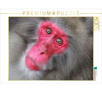 Puzzle CALVENDO Macaque à face rouge, macaque du Japon, singe des neiges | 1000