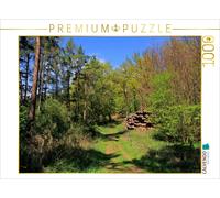 Puzzle CALVENDO Magnifique sentier forestier | 1000 pièces, format assemblé 64 ×