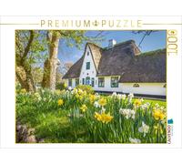 CALVENDO Puzzle Historisches Reetdachhaus mit Osterglocken Auf Sylt 1000 Teile Puzzle quer 1000 Pieces 64 x 48 cm from Christian Müringer