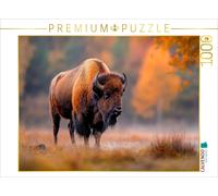 Puzzle CALVENDO Majestueux et fort | 1000 pièces, format assemblé 64 × 48 cm | P