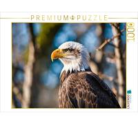 Puzzle CALVENDO Majestueux pygargue à tête blanche au regard perçant | 1000 pièc