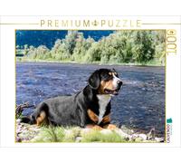 Puzzle CALVENDO Mâle d'Entlebuch au bord de la rivière | 1000 pièces, format ass