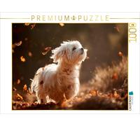Puzzle CALVENDO Malteser - La danse des feuilles d'automne | 1000 pièces, format
