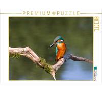 Puzzle CALVENDO Martin-pêcheur | 1000 pièces, format assemblé 64 × 48 cm | Puzzl