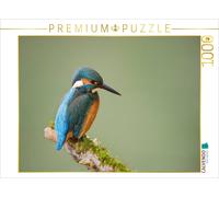 Puzzle CALVENDO Martin-pêcheur | 1000 pièces, format assemblé 64 × 48 cm | Puzzl