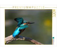 Puzzle CALVENDO Martin-pêcheur - Alcedo atthis | 1000 pièces, format assemblé 64