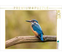 Puzzle CALVENDO Martin-pêcheur au visage sur sa branche | 1000 pièces, format as