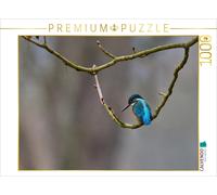 Puzzle CALVENDO Martin-pêcheur d'Europe sur l'Ahr | 1000 pièces, format assemblé