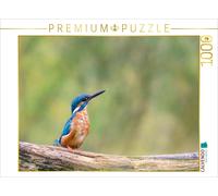 Puzzle CALVENDO Martin-pêcheur sur sa branche | 1000 pièces, format assemblé 64