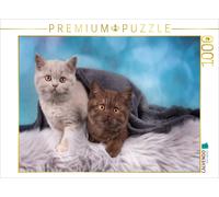 Puzzle CALVENDO Meilleurs amis | 1000 pièces, format assemblé 64 × 48 cm | Puzzl