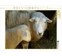 CALVENDO Puzzle Schaf mit Lamm 1000 Teile Puzzle quer 1000 Pieces 64 x 48 cm from Kattobello