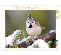CALVENDO Puzzle Haubenmeise 1000 Teile Puzzle quer 1000 Pieces 64 x 48 cm from Klaus Feske