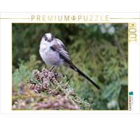 Puzzle CALVENDO Mésange à longue queue | 1000 pièces, format assemblé 64 × 48 cm