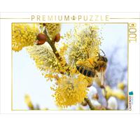 CALVENDO Puzzle Messagère du Printemps - Abeille à Miel pollinisant Un Chaton de Saule. 1000 Pieces 64 x 48 cm from Verlag