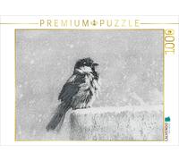 CALVENDO Puzzle Moineau 1000 Pieces 64 x 48 cm from Susanne Sachers