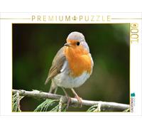 Puzzle CALVENDO Mon petit ami | 1000 pièces, format assemblé 64 × 48 cm | Puzzle