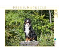 Puzzle CALVENDO Mon royaume | 1000 pièces, format assemblé 64 × 48 cm | Puzzle p