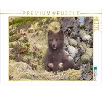 Puzzle CALVENDO Montrez vos pieds | 1000 pièces, format assemblé 64 × 48 cm | Pu