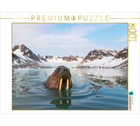 Puzzle CALVENDO Morse dans le fjord de Magdalene | 1000 pièces, format assemblé
