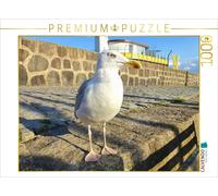 Puzzle CALVENDO Mouette sur le vieux port de Sassnitz | 1000 pièces, format asse