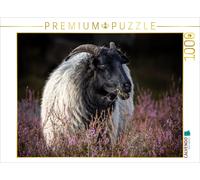 Puzzle CALVENDO Mouton des landes | 1000 pièces, format assemblé 64 × 48 cm | Pu