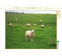 Puzzle CALVENDO moutons | 1000 pièces, format assemblé 64 × 48 cm | Puzzle photo