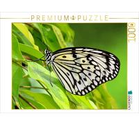 Puzzle CALVENDO Nymphe blanche des arbres | 1000 pièces, format assemblé 64 × 48