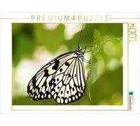CALVENDO Puzzle Colibri de l'arbre Blanc 1000 Pieces 64 x 48 cm from Anke Grau