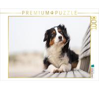CALVENDO Puzzle Gibt's Jetzt Einen Keks? 1000 Teile Puzzle quer 1000 Pieces 64 x 48 cm from Annett Mirsberger