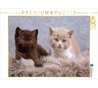 Puzzle CALVENDO On est mignons, non ? | 1000 pièces, format assemblé 64 × 48 cm