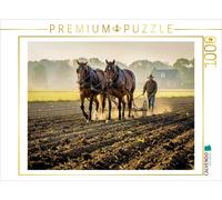 Puzzle · on ne Peut Pas Faire Mieux en Termes de Puissance | de véritables chevaux-vapeur · Des chevaux de trait en action · 1000 pièces · Format assemblé 64 × 48 cm · CALVENDO Puzzle
