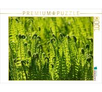 CALVENDO Puzzle Farn 1000 Teile Puzzle quer 1000 Pieces 64 x 48 cm from Kattobello