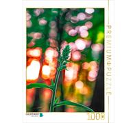 Puzzle CALVENDO Orchidée Bokeh | 1000 pièces, format assemblé 64 × 48 cm | Puzzl