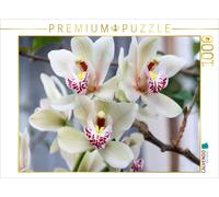 Puzzle CALVENDO Orchidée délicate de Kahn, Cymbidium | 1000 pièces, format assem