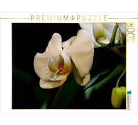 CALVENDO Puzzle Orchidée et Goutte 1000 Pieces 64 x 48 cm from Heike Hultsch