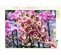 Puzzle CALVENDO Orchidée papillon à points rouges vifs | 1000 pièces, format ass