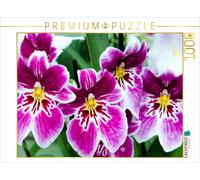 CALVENDO Puzzle Miltonia Orchideen 1000 Teile Puzzle quer 1000 Pieces 64 x 48 cm from Nina Schwarze