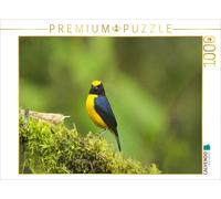 Puzzle CALVENDO Organiste à long bec (Euphonia laniirostris) | 1000 pièces, form