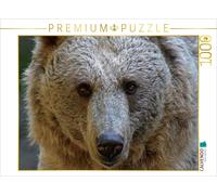 Puzzle CALVENDO Ours brun de Syrie | 1000 pièces, format assemblé 64 × 48 cm | P