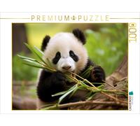 Puzzle CALVENDO Panda Jungtier | 1000 pièces, format assemblé 64 × 48 cm | Puzzl