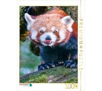 CALVENDO Puzzle Panda Rouge 1000 Pieces 48 x 64 cm from Peter Roder