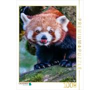 CALVENDO Puzzle Panda Rouge 1000 Pieces 48 x 64 cm from Peter Roder
