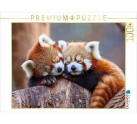 Puzzle CALVENDO Panda rouge | 1000 pièces, format assemblé 64 × 48 cm | Puzzle p