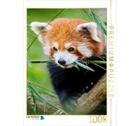 CALVENDO Puzzle Panda Rouge 1000 Pieces 48 x 64 cm from Peter Roder