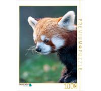 CALVENDO Puzzle Panda Rouge 1000 Pieces 48 x 64 cm from Peter Roder