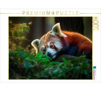 Puzzle · Panda Rouge - se Reposer Un Instant | 1000 pièces · Format assemblé 64 × 48 cm · CALVENDO Puzzle