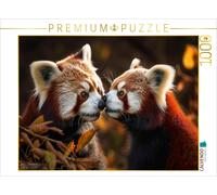 Puzzle CALVENDO Panda roux - câlin | 1000 pièces, format assemblé 64 × 48 cm | P