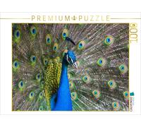 CALVENDO Puzzle Paon Bleu 1000 Pieces 64 x 48 cm from PuraVida