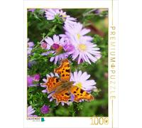 Puzzle CALVENDO Papillon de nuit sur un aster à feuilles lisses | 1000 pièces, f